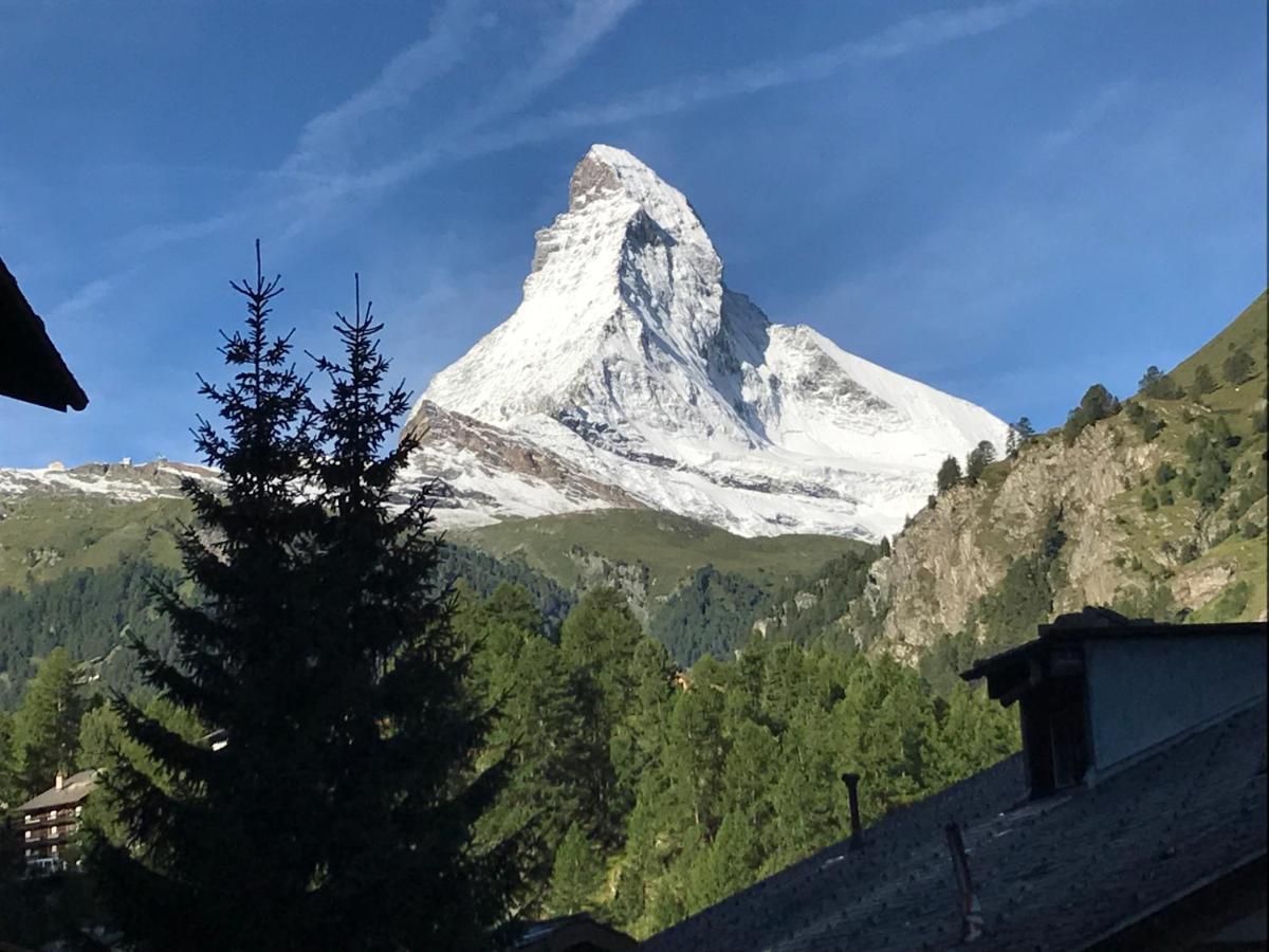 Apartament Haus Floralp Zermatt Zewnętrze zdjęcie