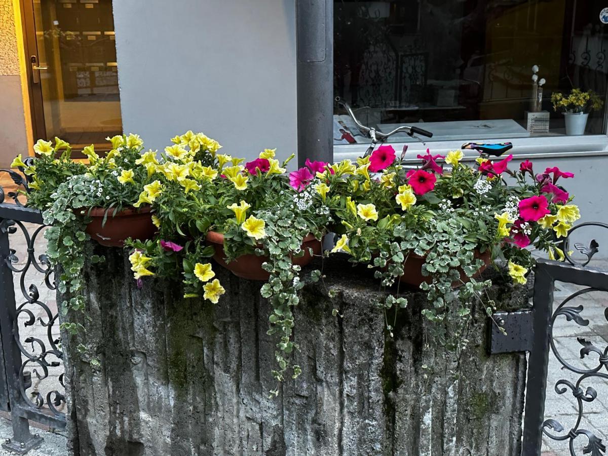 Apartament Haus Floralp Zermatt Zewnętrze zdjęcie
